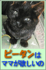 黒猫ピータンのバナー