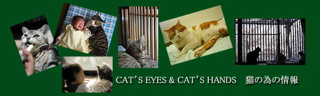 CAT'S EYES & CAT'S HANDS　猫の為の情報　タイトル画像